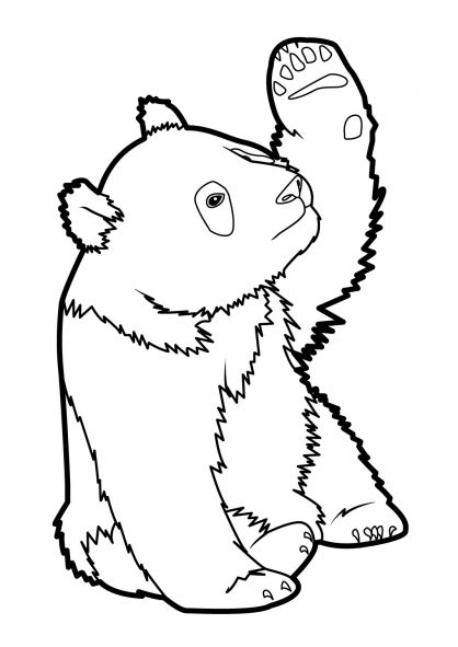 coloriage panda