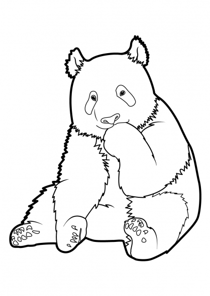 33 dessins de coloriage Panda à imprimer