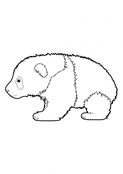 coloriage a dessiner de panda roux a imprimer