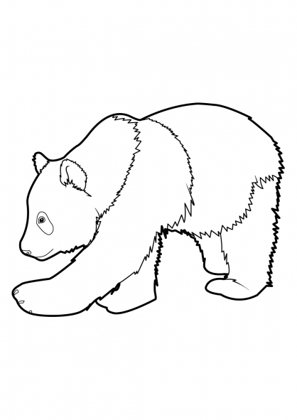 coloriage panda