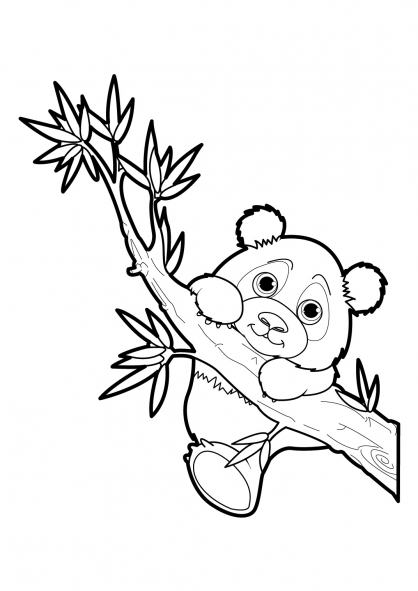 coloriage à dessiner de panda gratuit