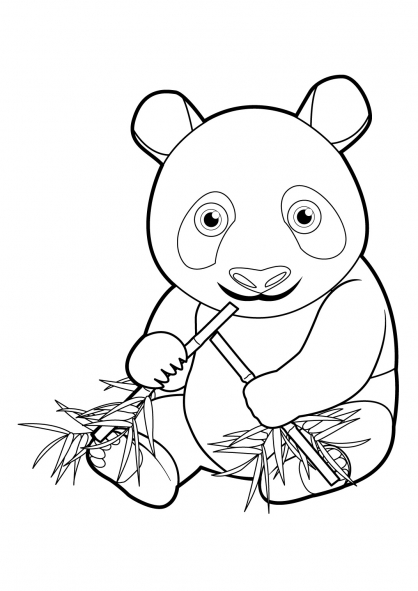 coloriage a dessiner panda roux