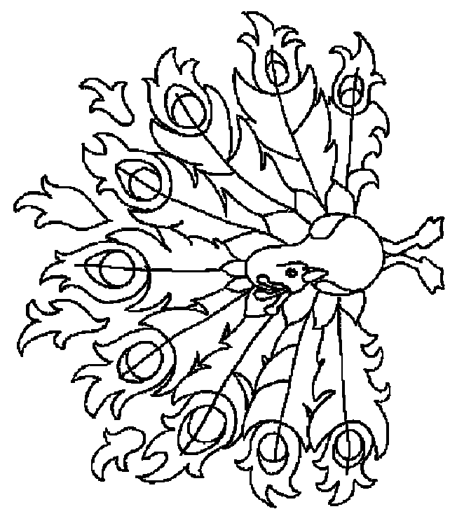 coloriage à dessiner paon faisant la roue