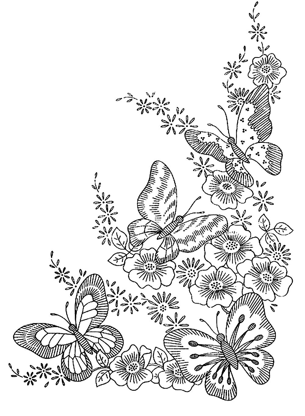 coloriage papillon adulte