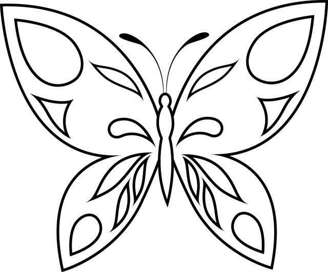 coloriage papillon hugo lescargot