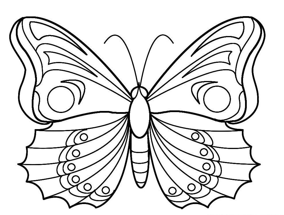 coloriage papillon magique