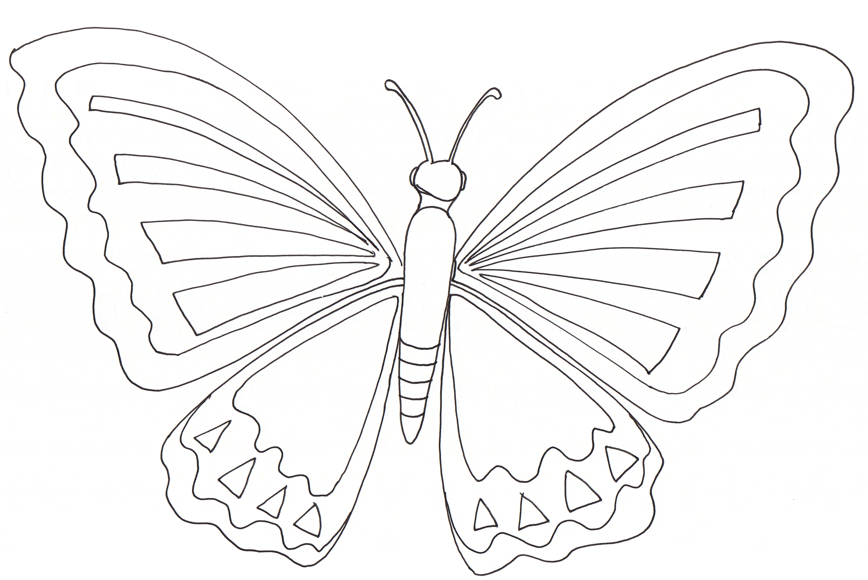 coloriage  dessiner simon le papillon