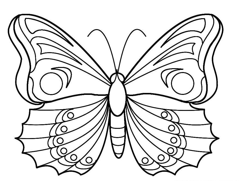 coloriage à dessiner de papillon de noel