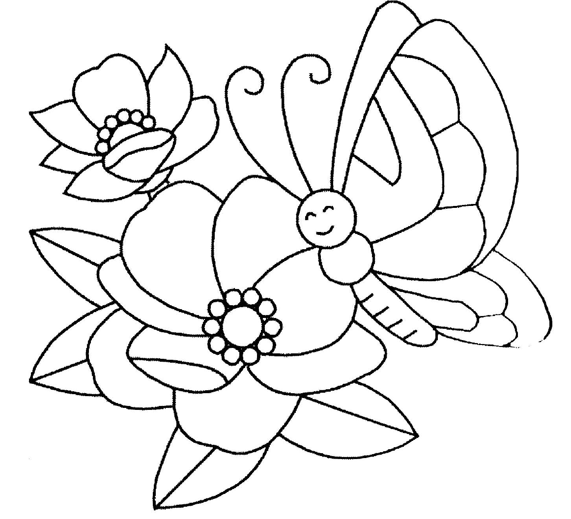 coloriage  dessiner papillon  imprimer