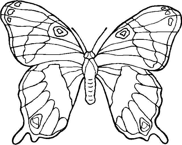 coloriage à dessiner poisson papillon