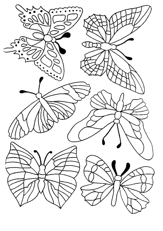 coloriage papillon symétrie