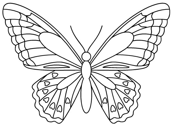 coloriage de papillon a imprimer gratuit