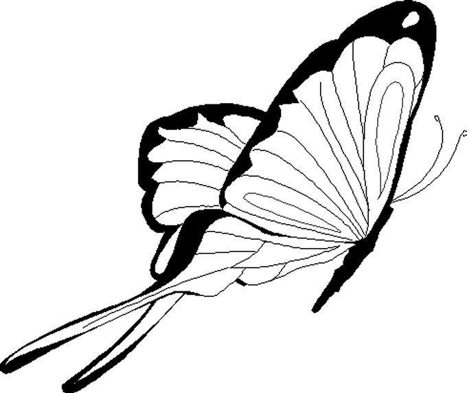 coloriage à dessiner papillon fée