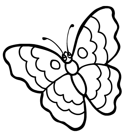 coloriage à dessiner et papillon