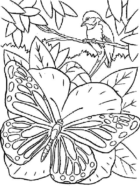 coloriage à dessiner paysage papillon