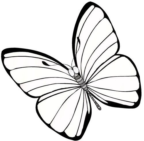 colorier un papillon en ligne