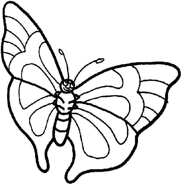 Dessin à Colorier De Papillon Sur Une Fleur