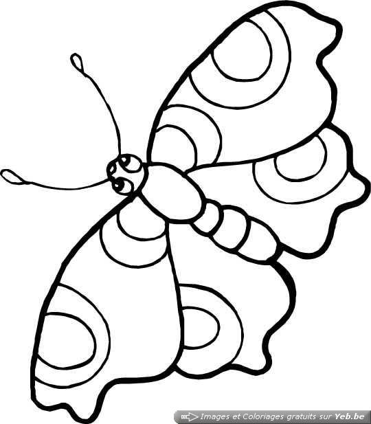 coloriage papillon magique