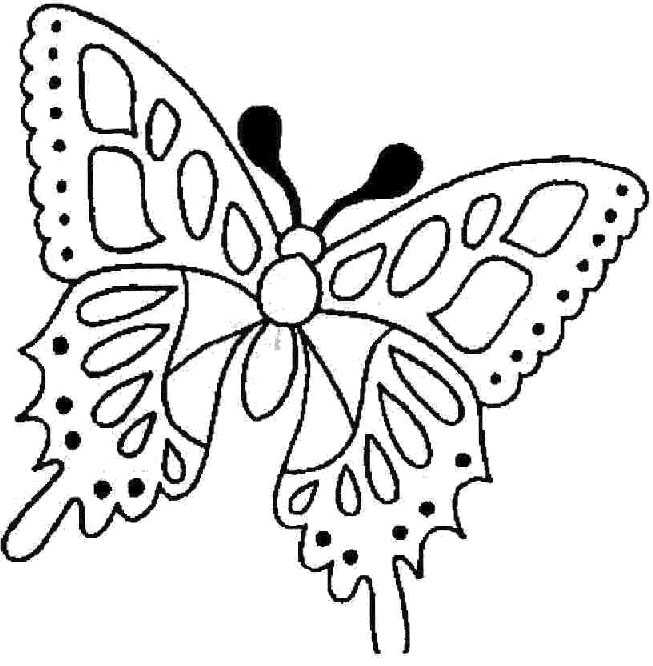 jeux coloriage à dessiner papillon gratuit
