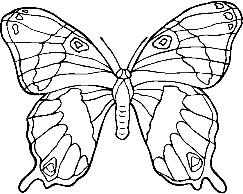 dessin papillon ligne