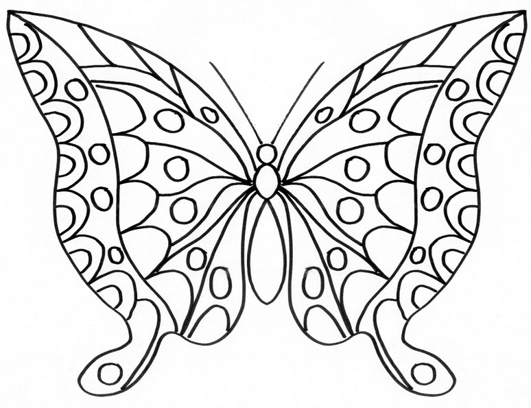 dessin  colorier papillon  imprimer gratuit