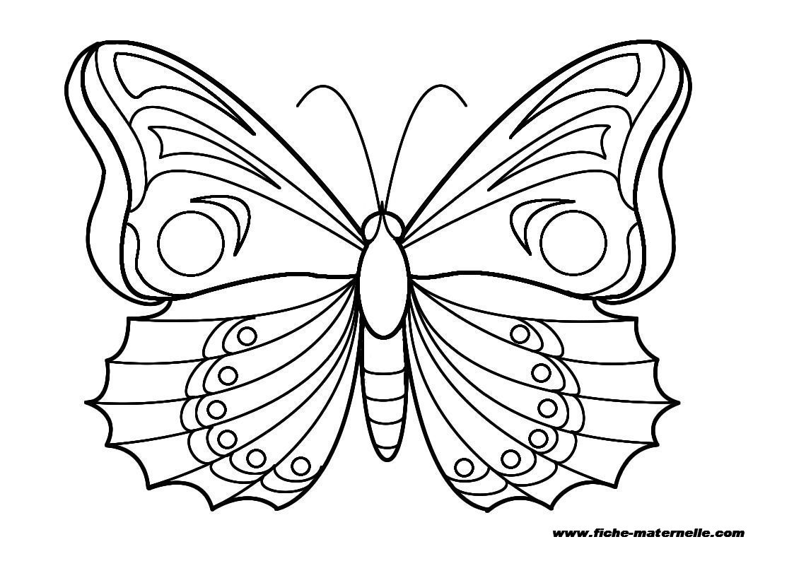 coloriage à dessiner libellule papillon