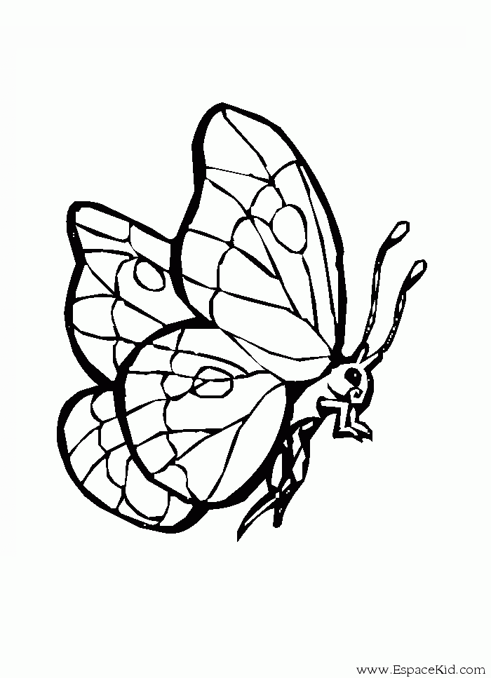 dessin de papillon sur une fleur