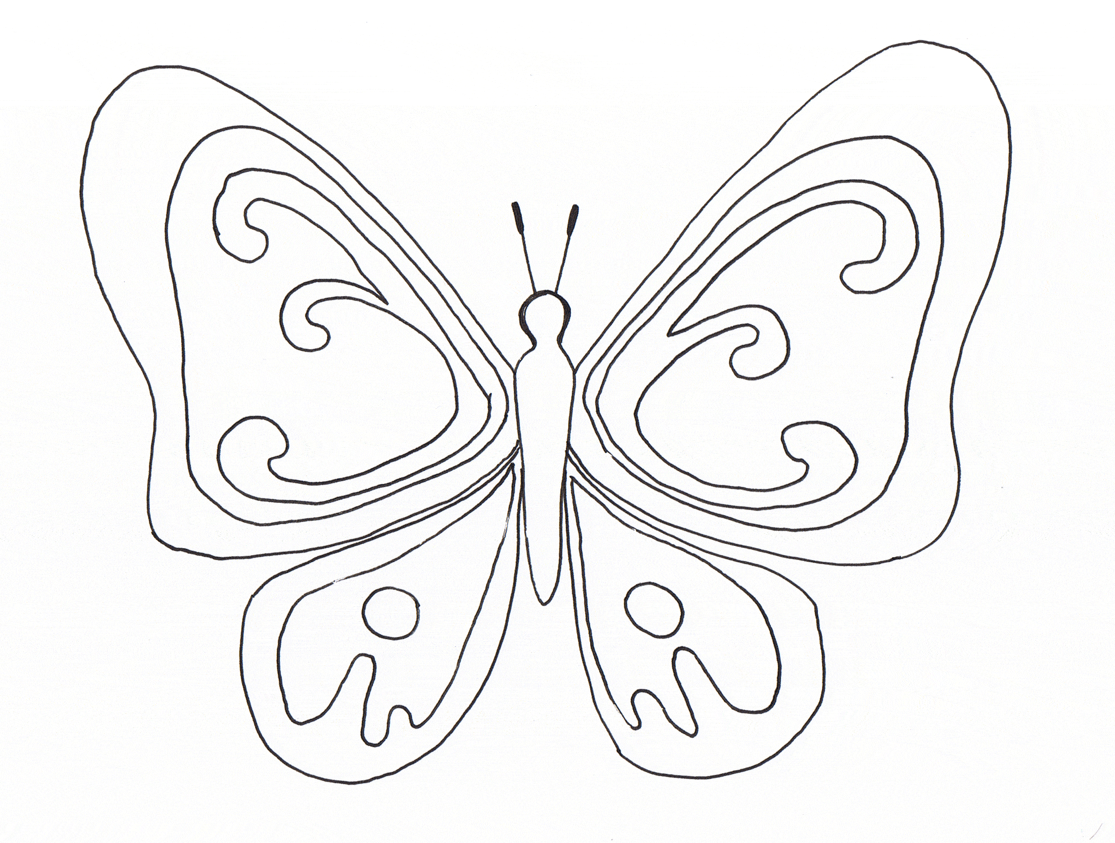 119 Dessins De Coloriage Papillon à Imprimer