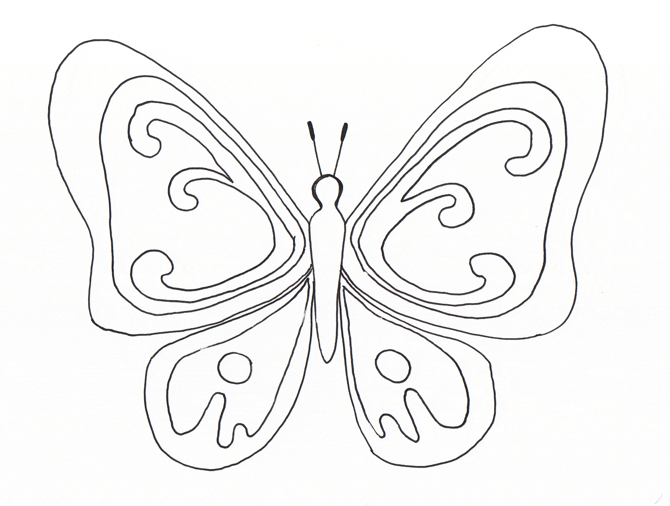 coloriage papillon rigolo