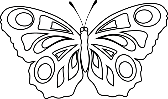 coloriage papillon