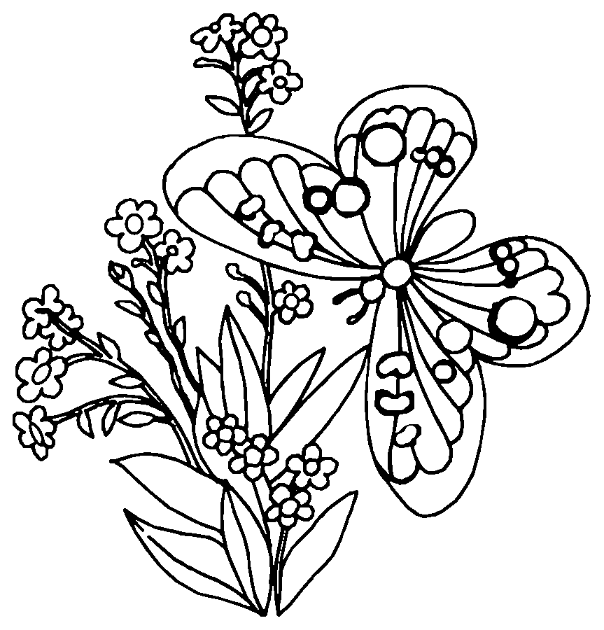 coloriage papillon avec modÃ¨le