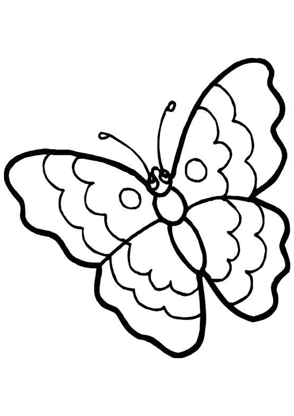 dessin à colorier un papillon