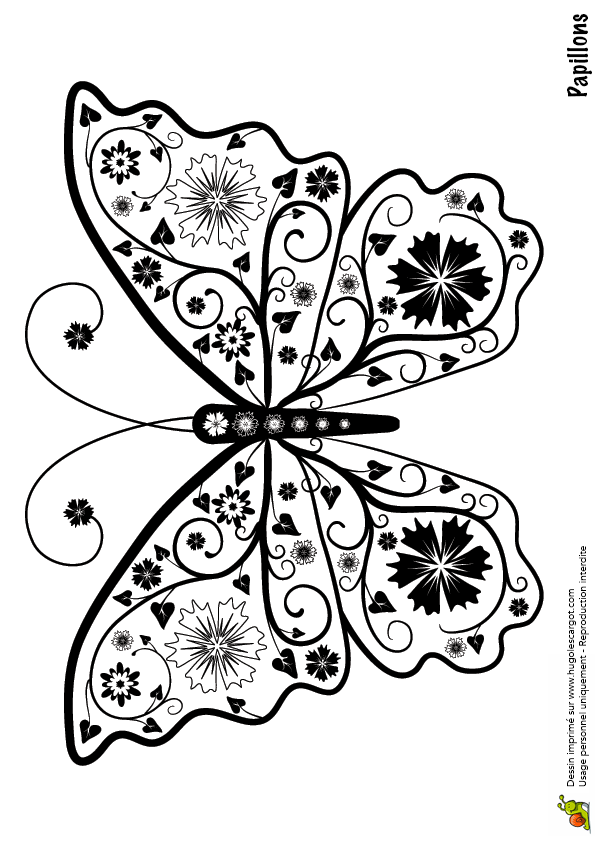 dessin à colorier papillon rigolo