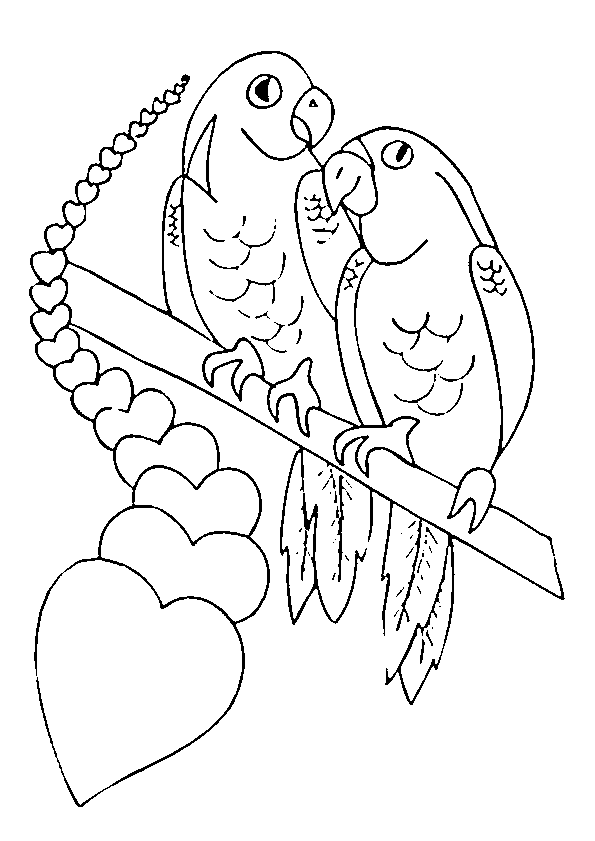 coloriage � dessiner magique perroquet
