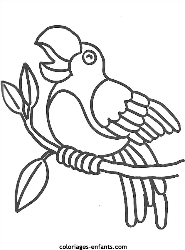 coloriage perroquet ara