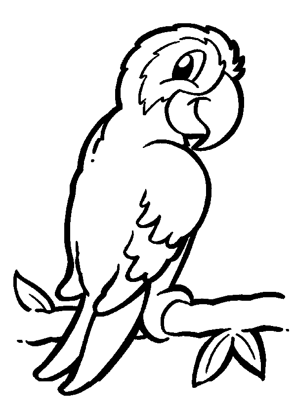 dessin à colorier perroquet ara imprimer