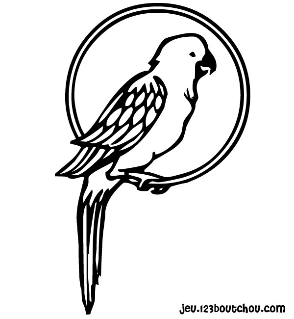 coloriage � dessiner de perroquet en ligne gratuit