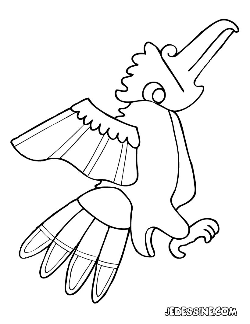 coloriage   dessiner de perruche a imprimer