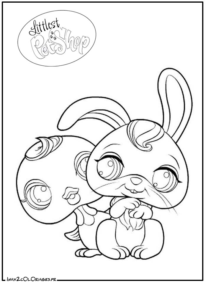 coloriage de pet shop tortue