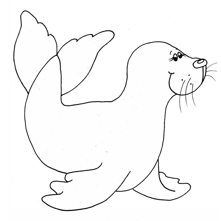 20 dessins de coloriage Phoque Banquise à imprimer