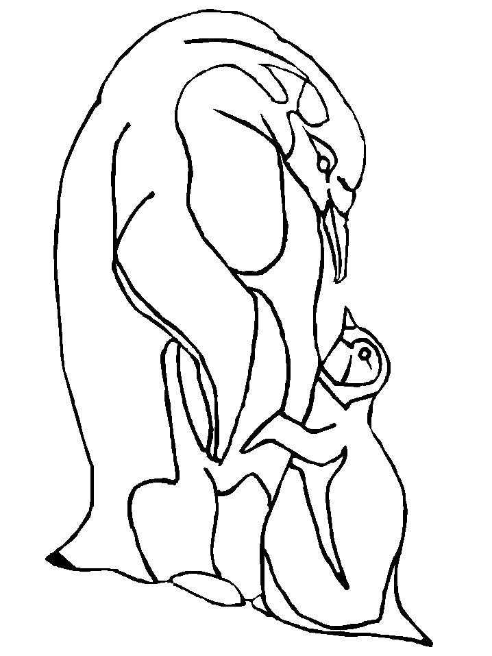 20 dessins de coloriage Phoque Banquise à imprimer coloriage phoque banquise