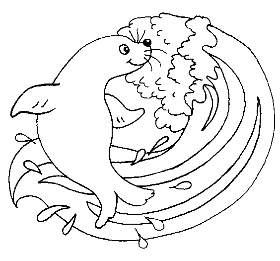coloriage à dessiner de phoque