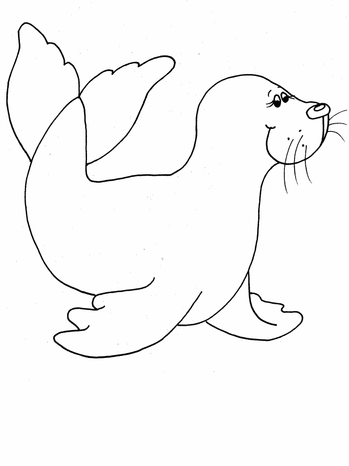 coloriage à dessiner phoque banquise
