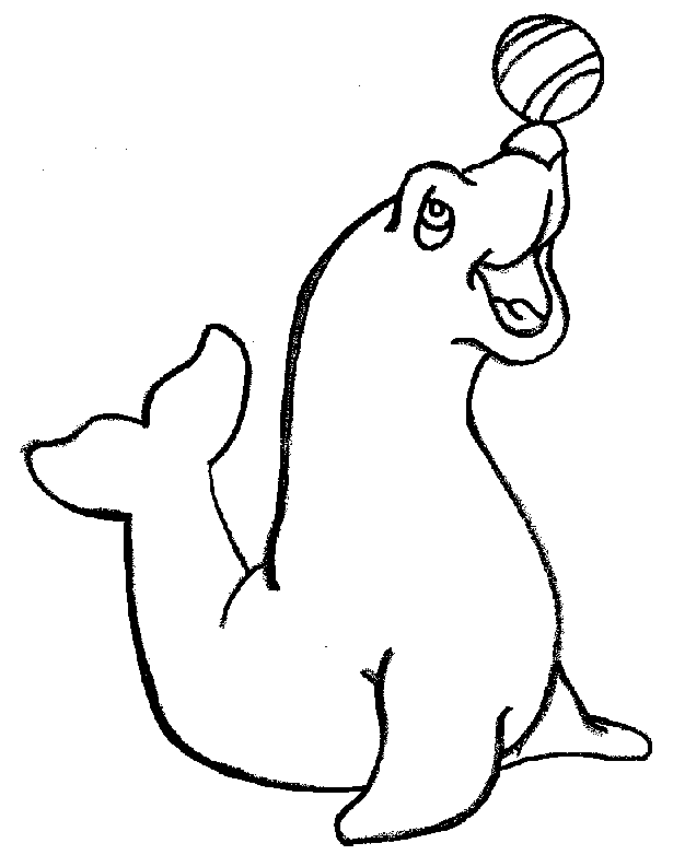 coloriage à dessiner d'un phoque