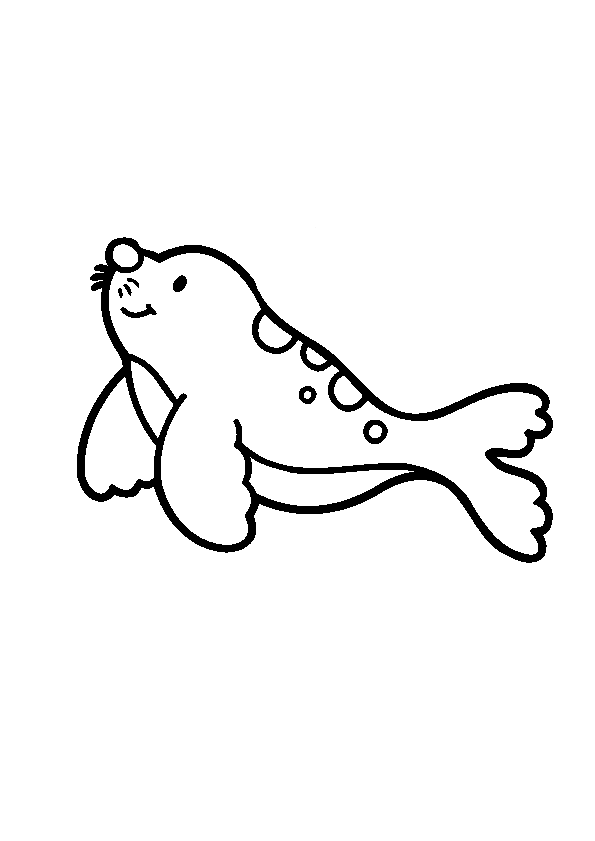 Coloriage Phoque à colorier - Dessin à imprimer dessin d'un phoque