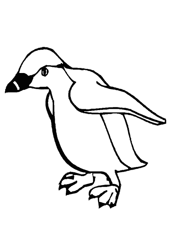 106 dessins de coloriage Phoque à imprimer coloriage phoque