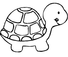 Coloriage Bebe Phoque