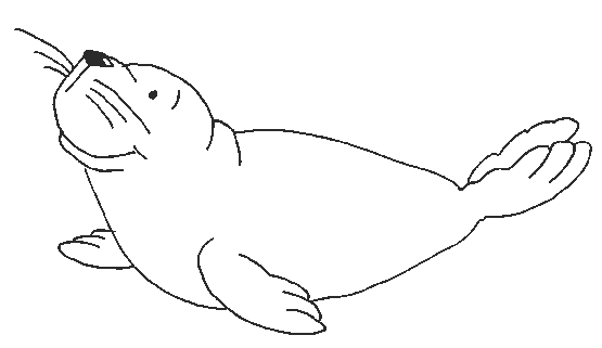 106 dessins de coloriage Phoque à imprimer coloriage phoque