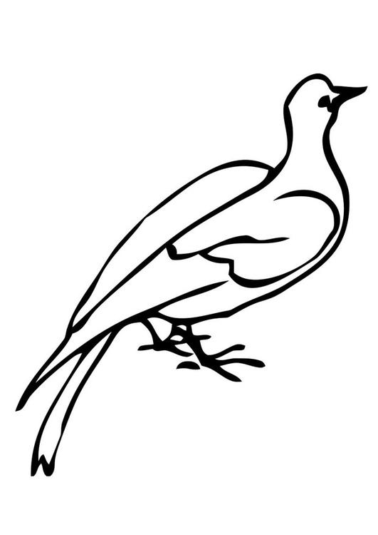 dessin � colorier pigeon vaillant