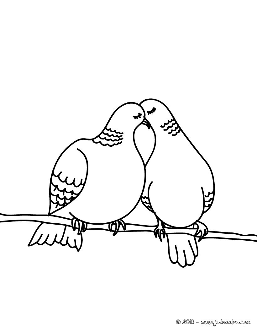 dessin  colorier de pigeon